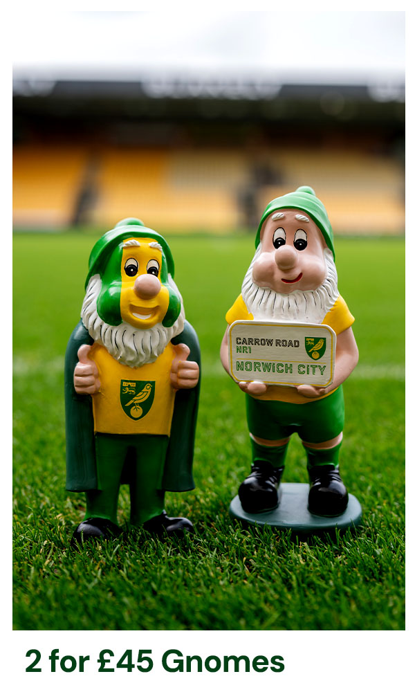 2 for £45 Gnomes