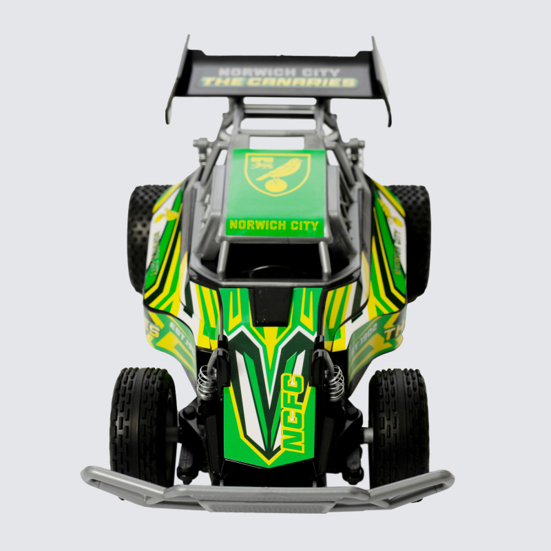 Remote Control Buggy