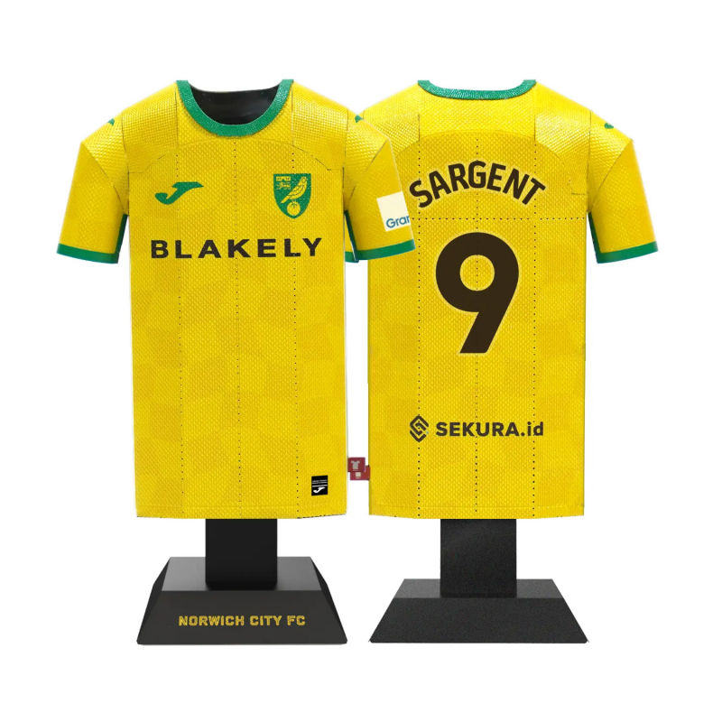 Norwich City 24/25 Metal Home Shirt
