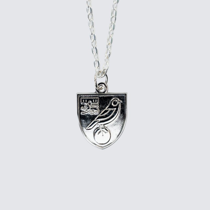 Silver Plated Crest Pendant and Chain