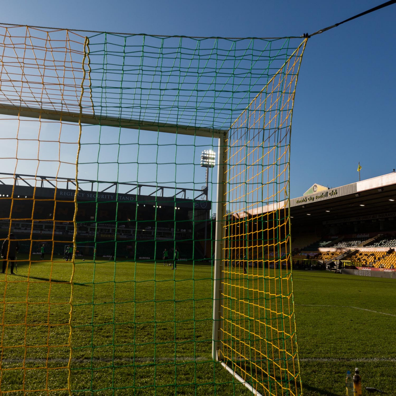 Norwich City Yellow & Green Goal Net (20/21–23/24)