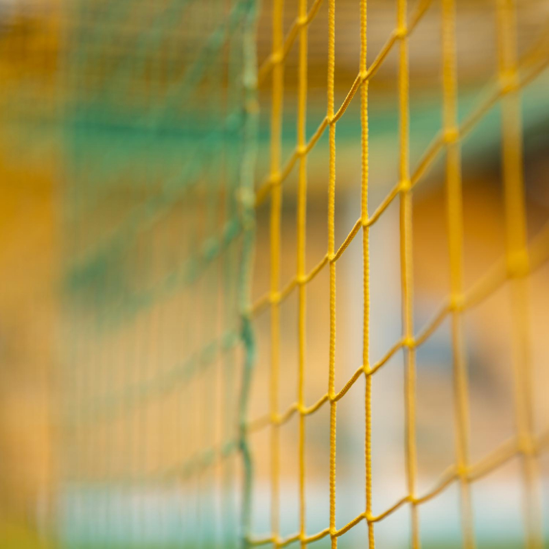Norwich City Yellow & Green Goal Net (20/21–23/24)