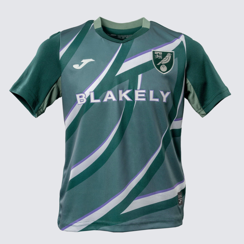 2025/26 Junior Away Shirt