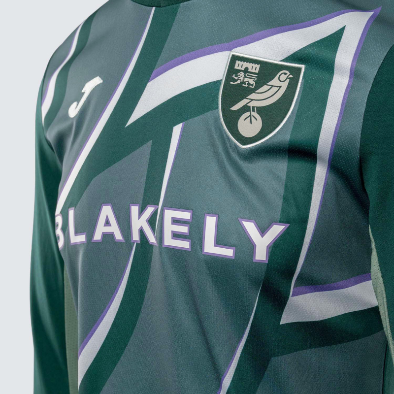 2025/26 Adult Away Shirt Long Sleeve