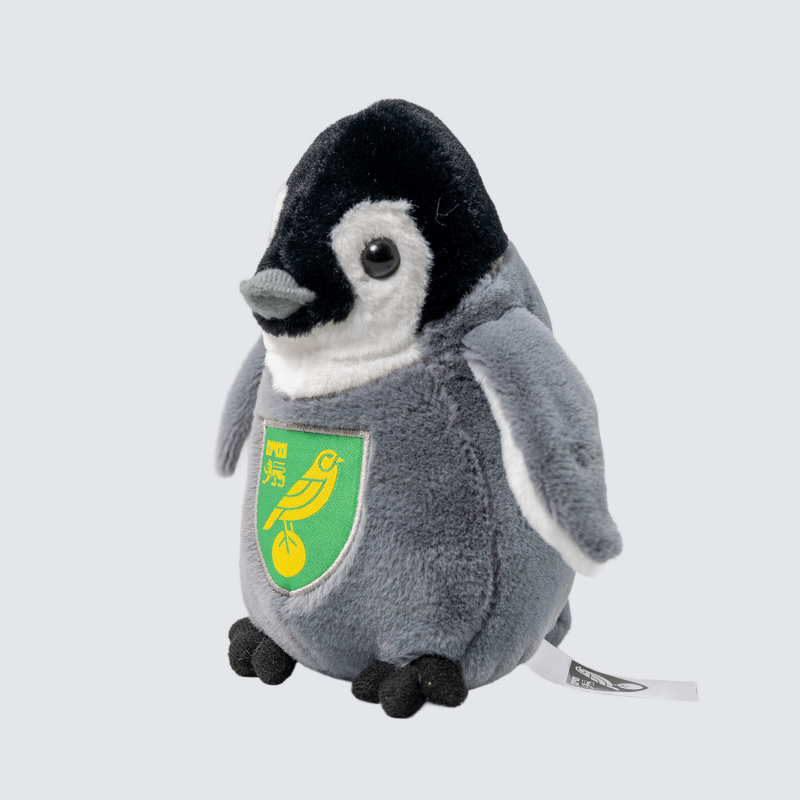 Penguin Chick