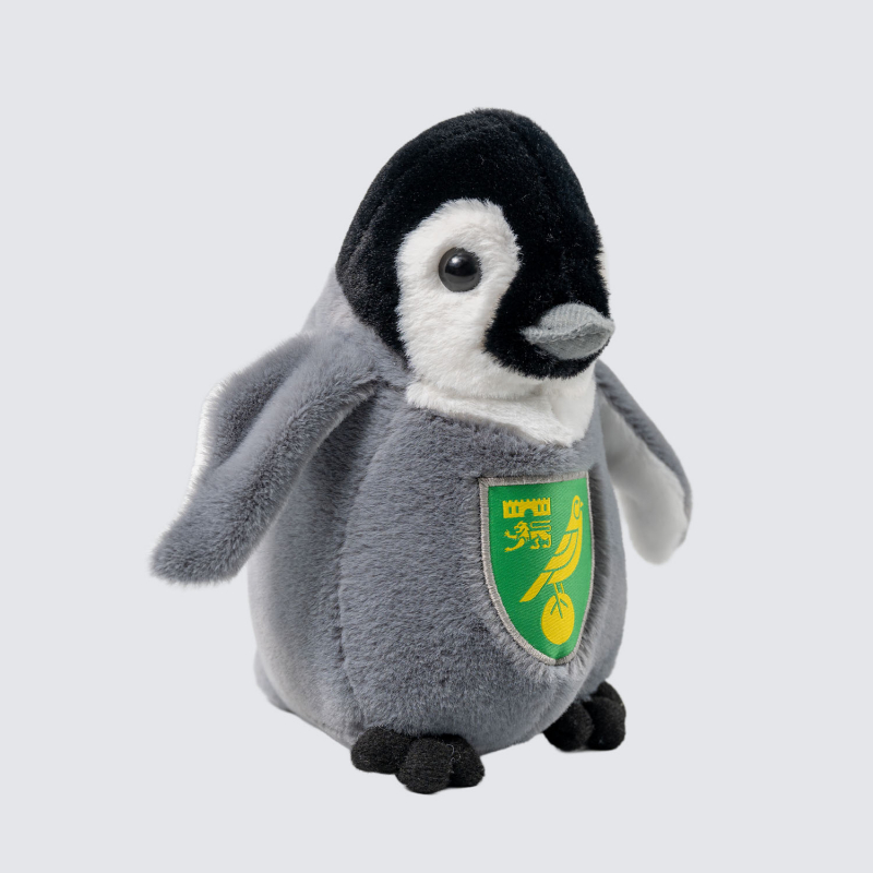 Penguin Chick