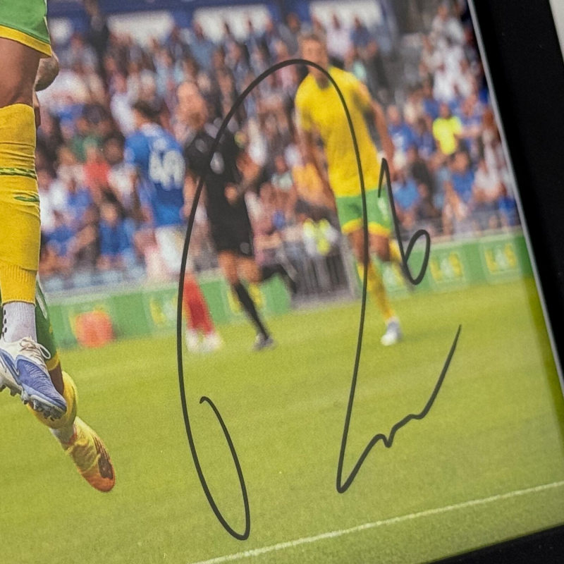 Framed Photo - Harry Darling