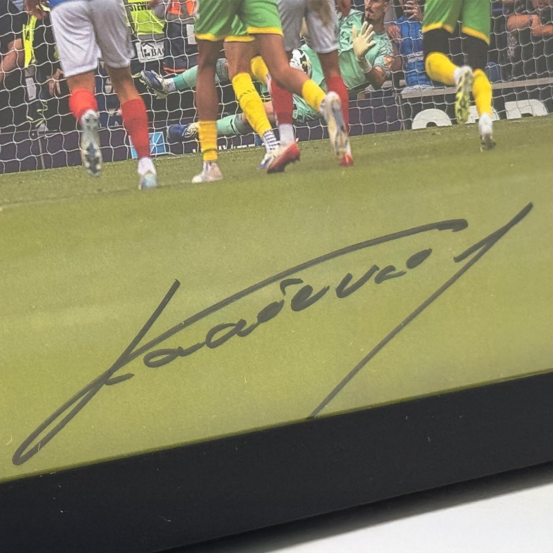 Framed Photo - Vladan Kovačević