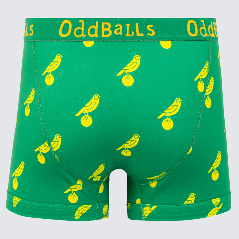 Kids Repeat Canary Boxer Shorts
