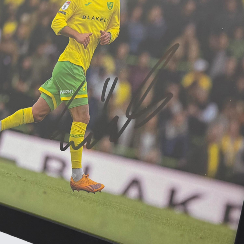 Framed Photo - Emiliano Marcondes