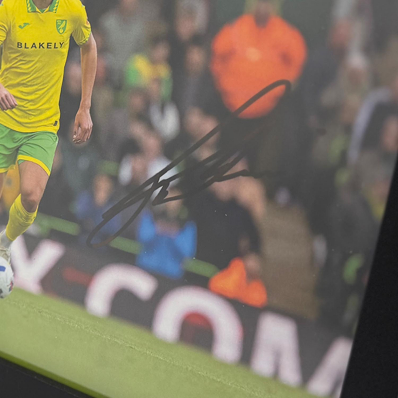 Framed Photo - Jakov Medic