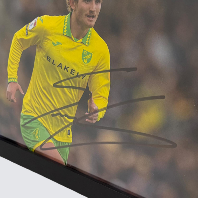 Framed Photo - Josh Sargent