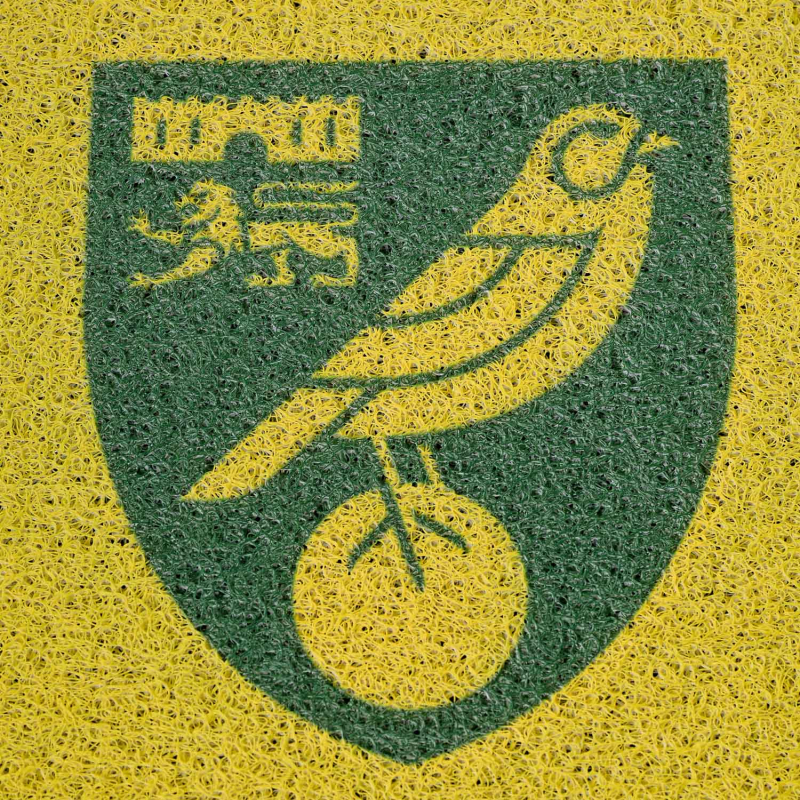 Colour Crest Outside Door Mat 