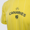 Adult Yellow Striped T-Shirt