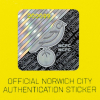 Norwich City Yellow & Green Goal Net (20/21–23/24)