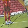 Framed Photo - Josh Sargent