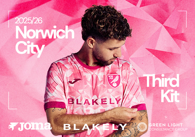 入手不可能Norwich City Tie 愛称カナリーズ 希少 The Official Norwich City Online Store | Official replica shirts