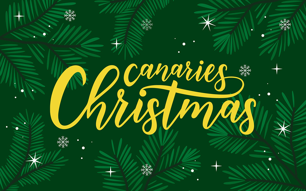 Canaries Christmas