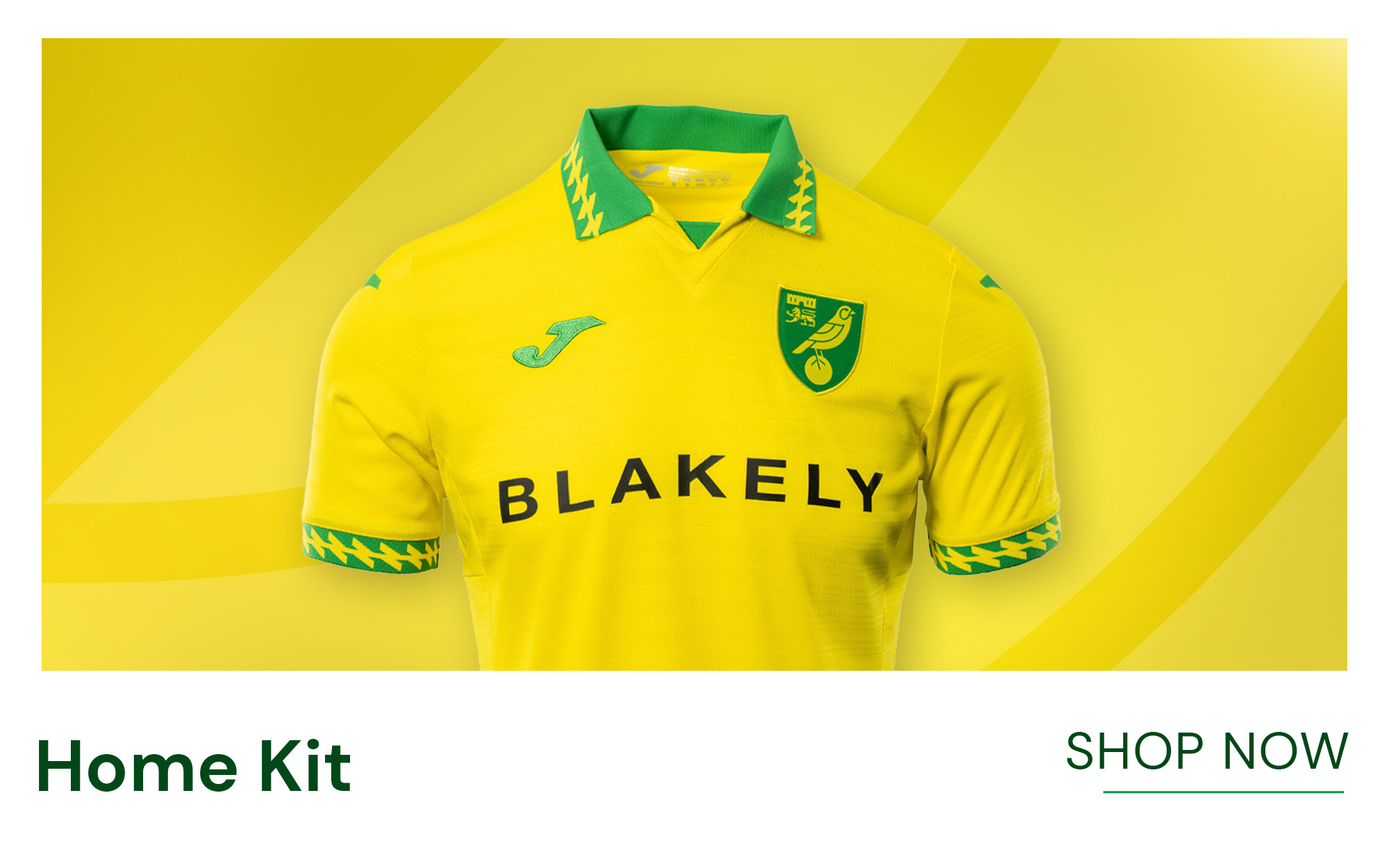 入手不可能Norwich City Tie 愛称カナリーズ 希少 入手不可能Norwich City Tie 愛称カナリーズ 希少 - メルカリ