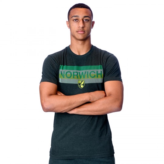 Adult Norwich Dot T-Shirt