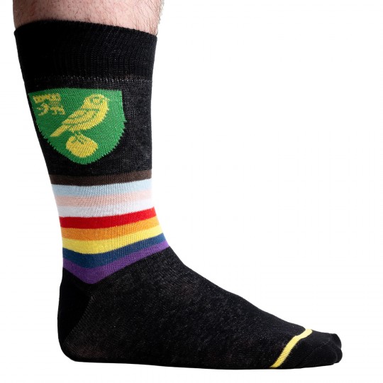 Pride Crest Socks