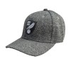 Tonal Crest Grey Cap