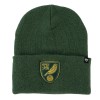 47 Green/Gold Crest Hat