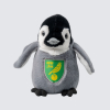 Penguin Chick