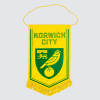 Norwich City Crest Pennant