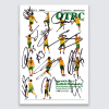 Programme v Sheffield Wed 24-25 - SQUAD SIGNED