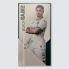 Match Used Away Board 24/25 Third - SAINZ