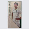 Match Used Away Board 24/25 Third - CHRISENE