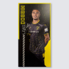 Match Used Away Board 24/25 Away - DOBBIN