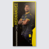 Match Used Away Board 24/25 Away - HERNÁNDEZ