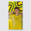 Match Used Away Board 24/25 Home - SCHWARTAU