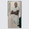Match Used Away Board 24/25 Third - CÓRDOBA