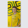 Match Used Away Board 24/25 Home - FISHER