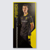 Match Used Away Board 24/25 Away - FISHER