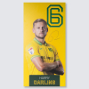 Replica Home Kit Away Board 25-26 - Darling