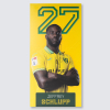 Replica Home Kit Away Board 25-26 - Schlupp