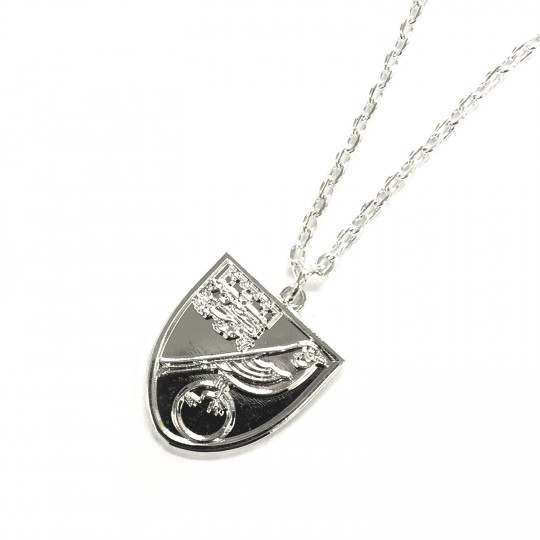 Silver Plated Crest Pendant and Chain