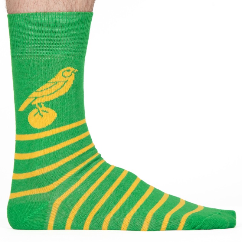 Canary Stripe Socks
