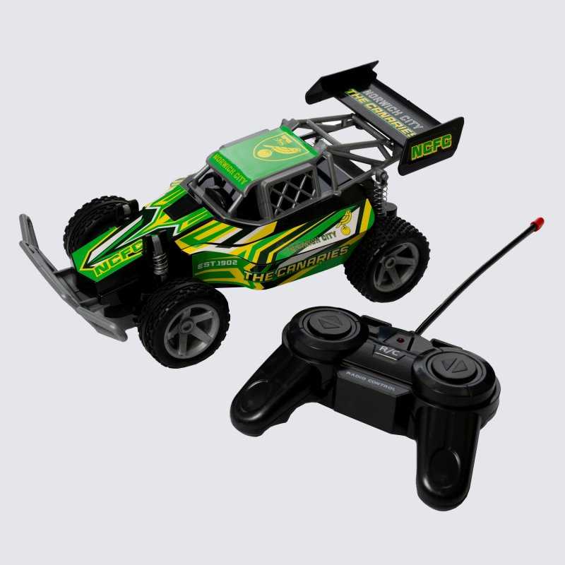 Remote Control Buggy Remote Control Buggy