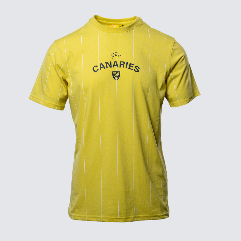 Adult Yellow Striped T-Shirt Adult Yellow Striped T-Shirt