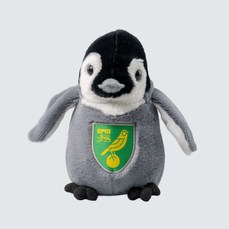 Penguin Chick
