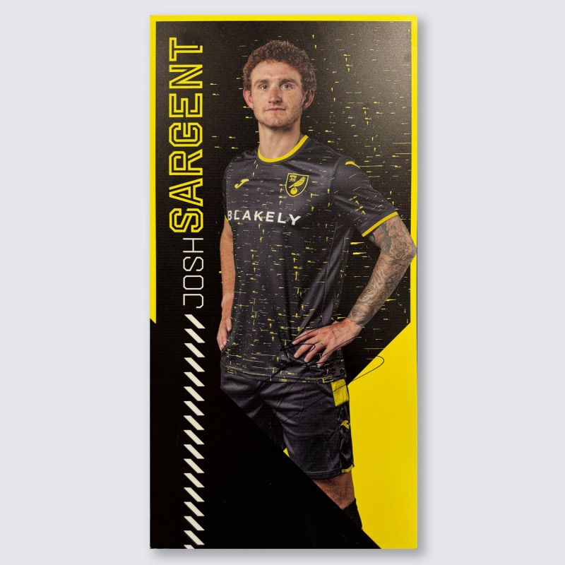 Match Used Away Board 24/25 Away - SARGENT
