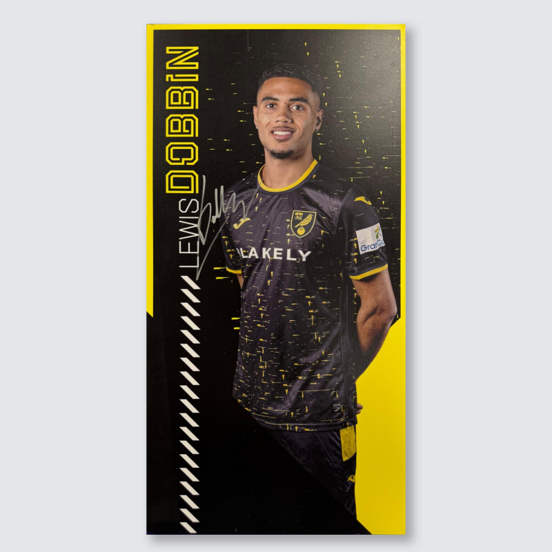 Match Used Away Board 24/25 Away - DOBBIN