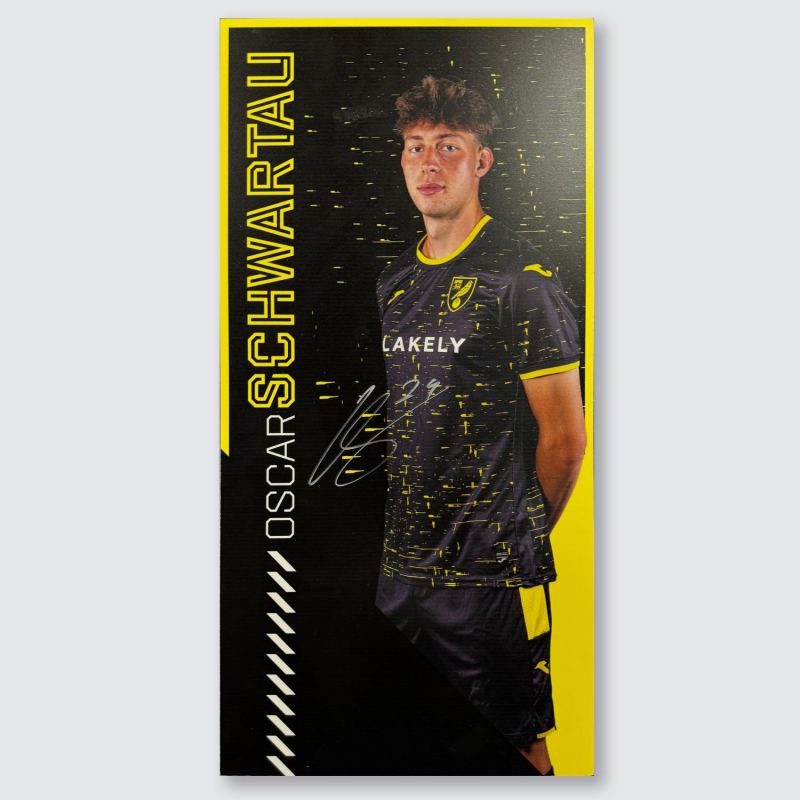 Match Used Away Board 24/25 Away - SCHWARTAU