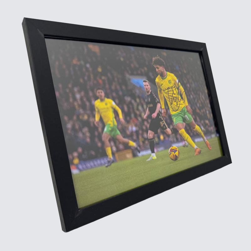 Framed Photo - Emiliano Marcondes