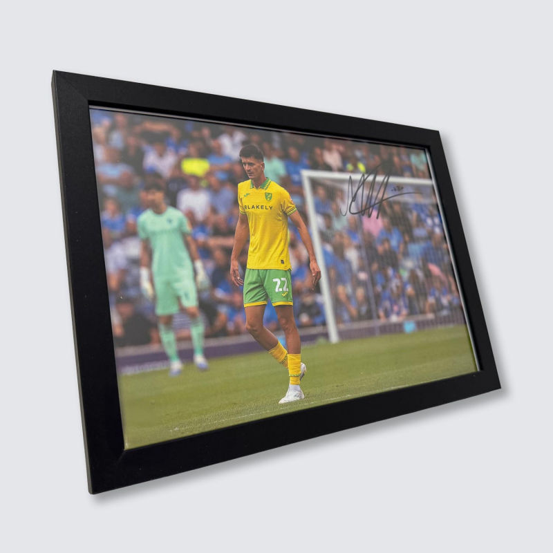 Framed Photo - Mirko Topić